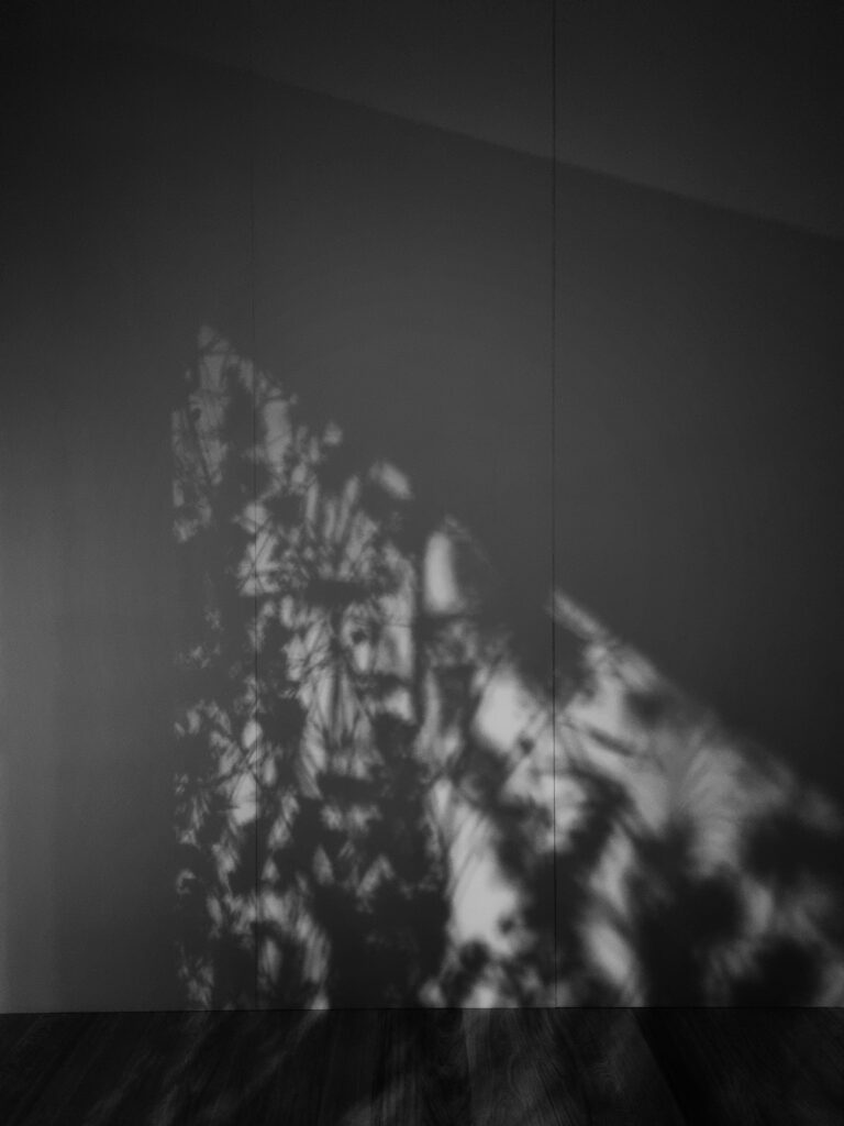 Donkergrijze achtergrond, met een driehoek met plantenpatroon.